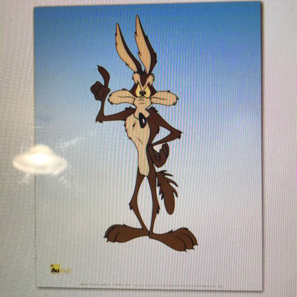 Wile E Coyote Sericel 8”